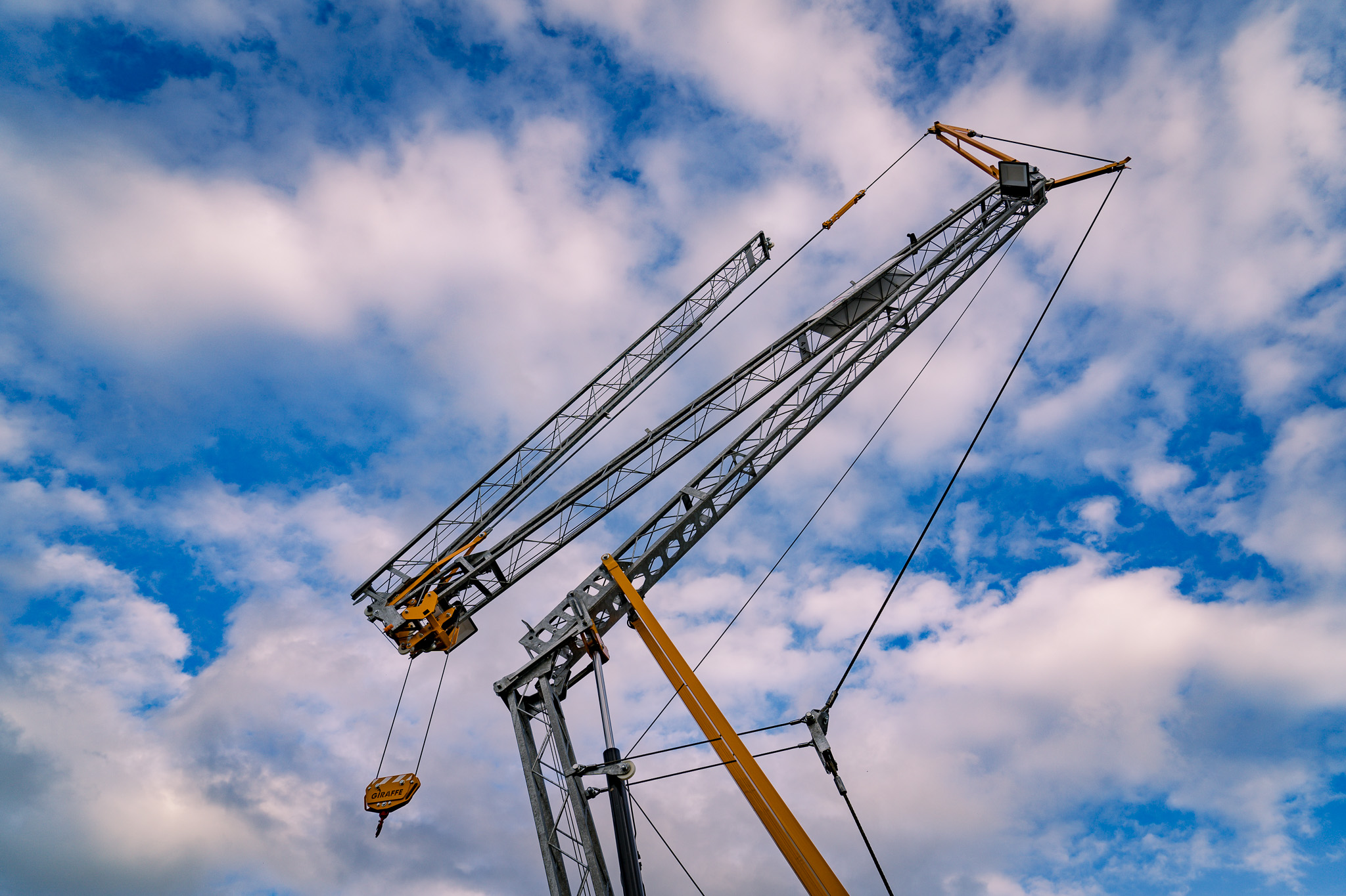 Foto: Giraffe Cranes 